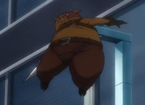 哝,这就是加速猪咯